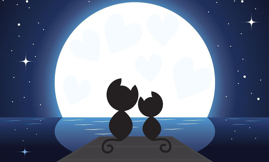 万州潮客汇微信活动策划案例